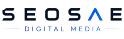 Logo Seosae transparent Logo Seosae
